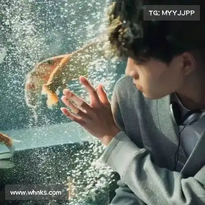 叶霏蝶